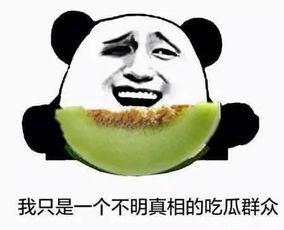 不限量吃瓜群众,不限量吃瓜群众的热闹现场