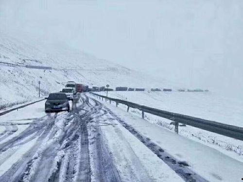 独库公路雪地吃瓜,冬日里的瓜果盛宴