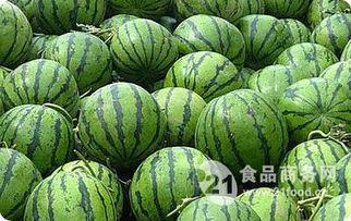 岱岱吃瓜河北,揭秘河北美食背后的故事