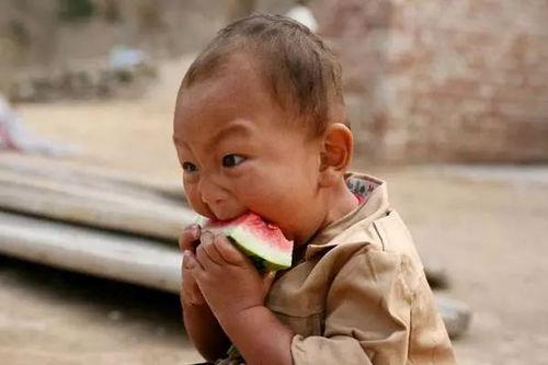 吃瓜小崽儿,揭秘娱乐圈幕后故事