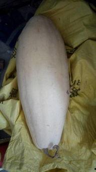 引产了可以吃白瓜吗